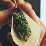 420 stoner, weed, 420, marijuana, cannabis, blunt, doobie videos stock