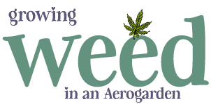 growing weed in an aerogarden How To